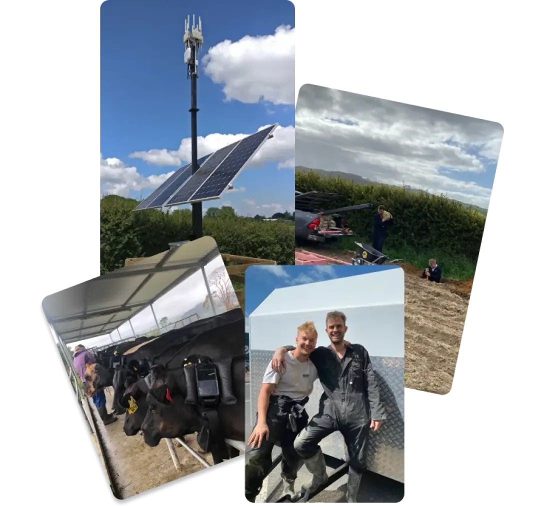 A collage highlighting infrastructure and testing: solar-powered connectivity equipment, cows wearing halter collars in a shed, two people in overalls smiling by a trailer, and team members installing or inspecting outdoor hardware.