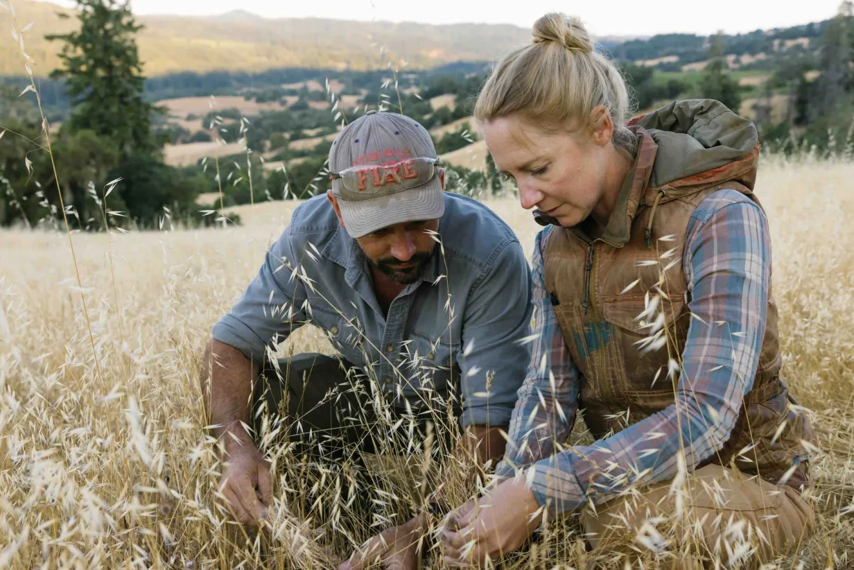 A man and woman rancher crouch in a golden field of tall dry grass, closely examining the pasture under natural daylight.