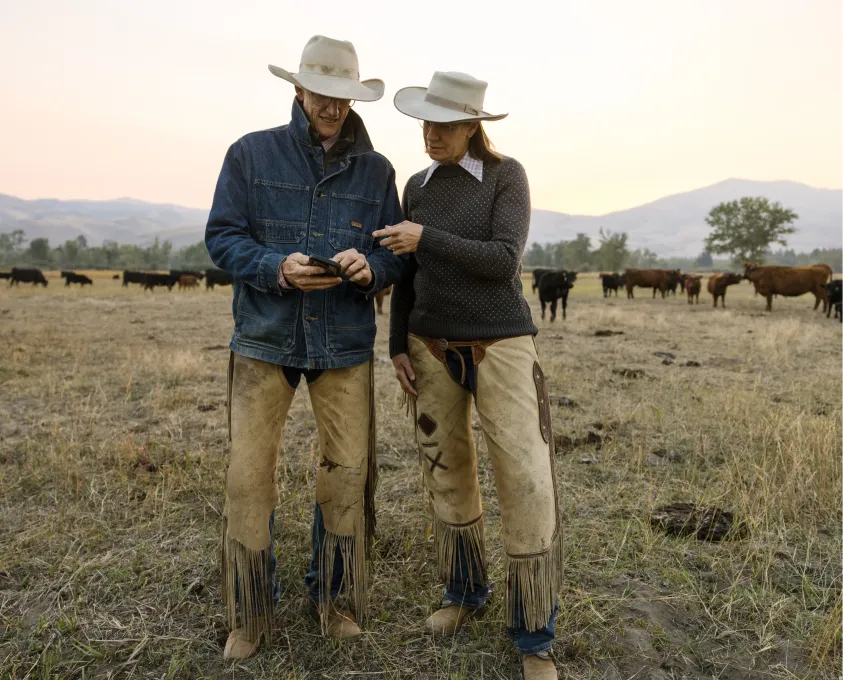 Two ranchers in cowboy hats and chaps stand in a dry pasture, looking at a phone together. A herd of cattle grazes in the background.