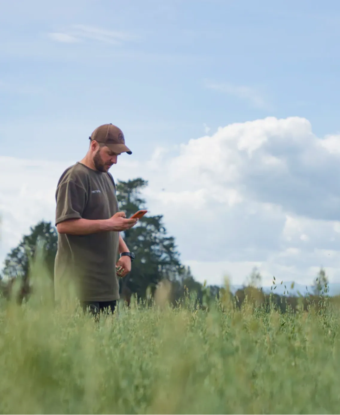 A farmer stands in a tall crop field using a smartphone app, with a blue sky and trees in the background.