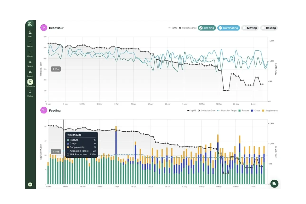 A mobile screen showing paddock performance metrics in the Halter app, highlighting total dry matter harvested per hectare for the current and past seasons.