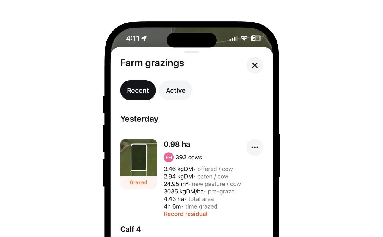 Halter’s desktop dashboard displays cow behaviour trends over time including grazing, ruminating, moving, and resting minutes per day, alongside feeding data by source and milk production.