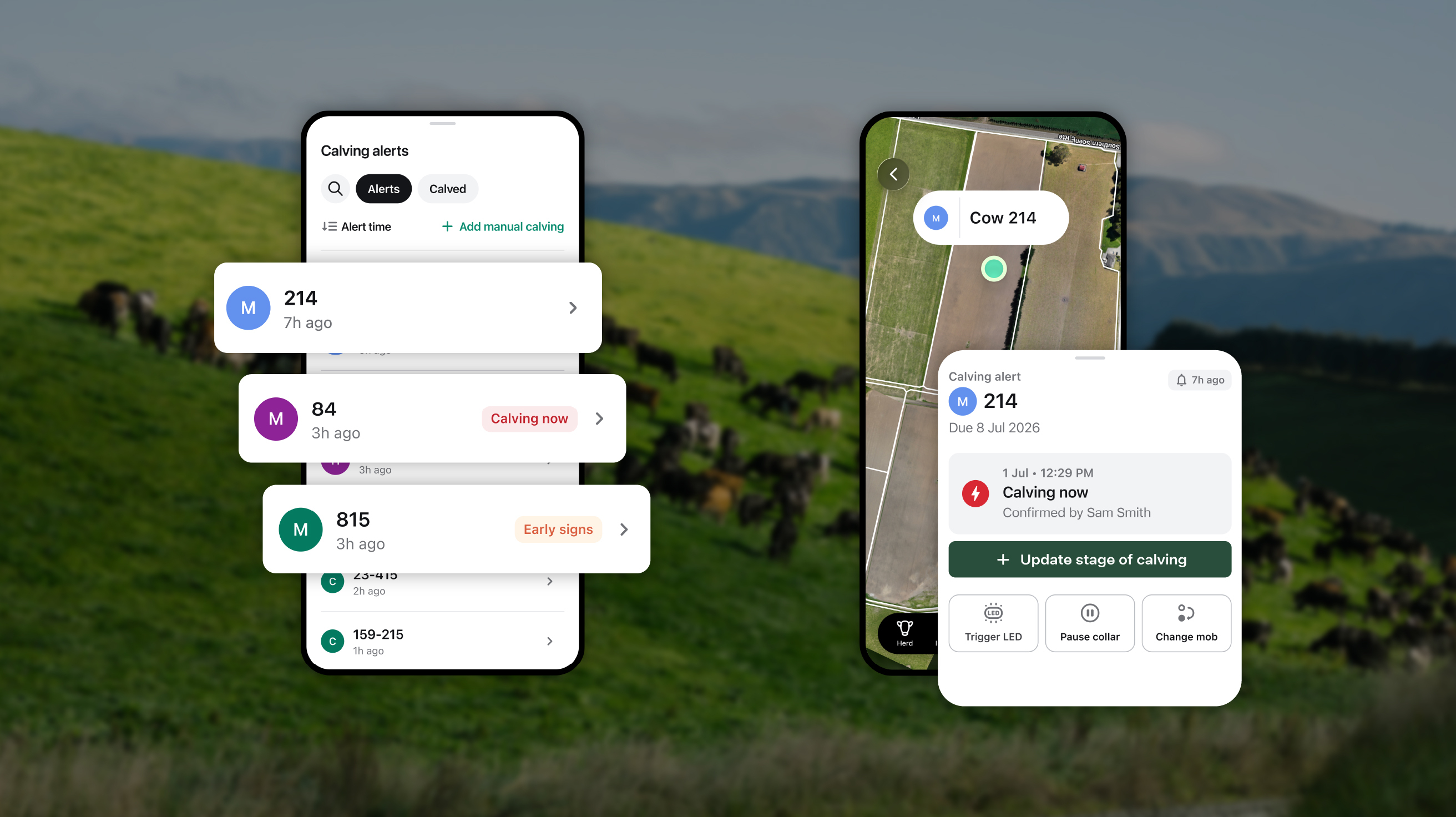Two app screens showing new calving detection tool  with a background of a green paddock and blue sky with rolling hills