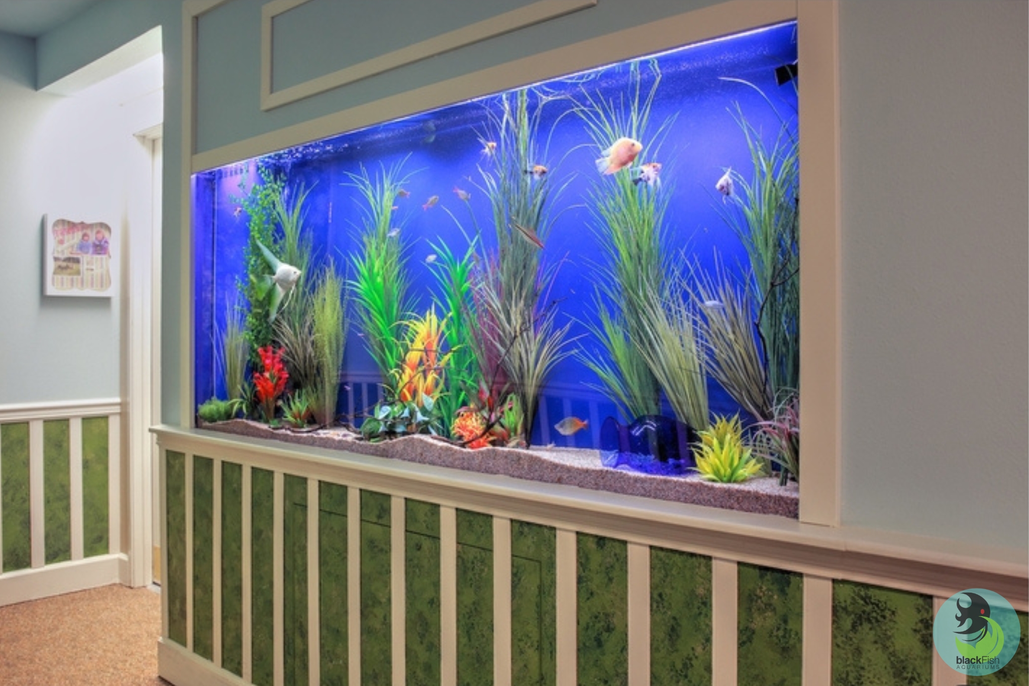 Large built-in aquarium with blue background, tall plants, and several small fish in a hallway.