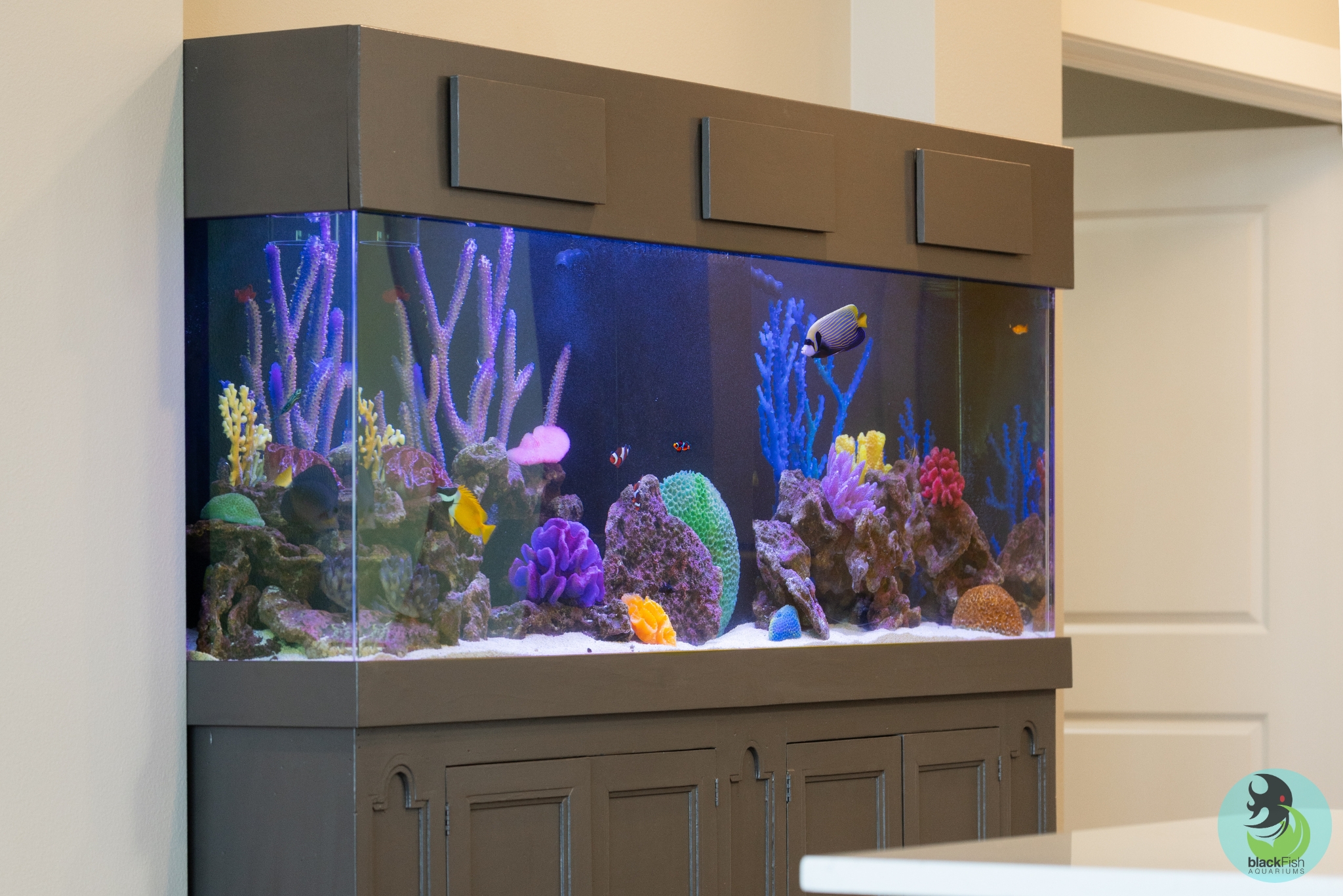 Large home aquarium with colorful coral, rocks, and various tropical fish swimming inside.