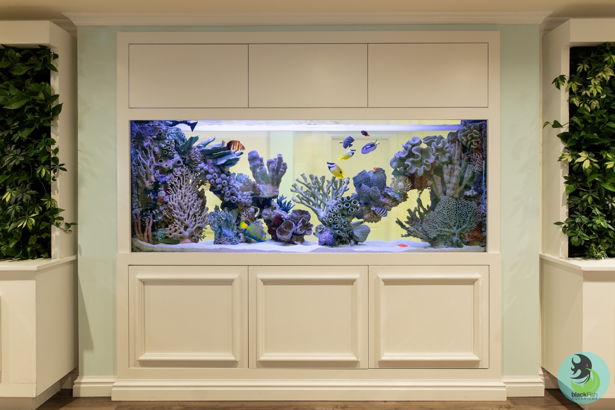 Large built-in aquarium with coral and colorful tropical fish in a white cabinet with green plants on sides.