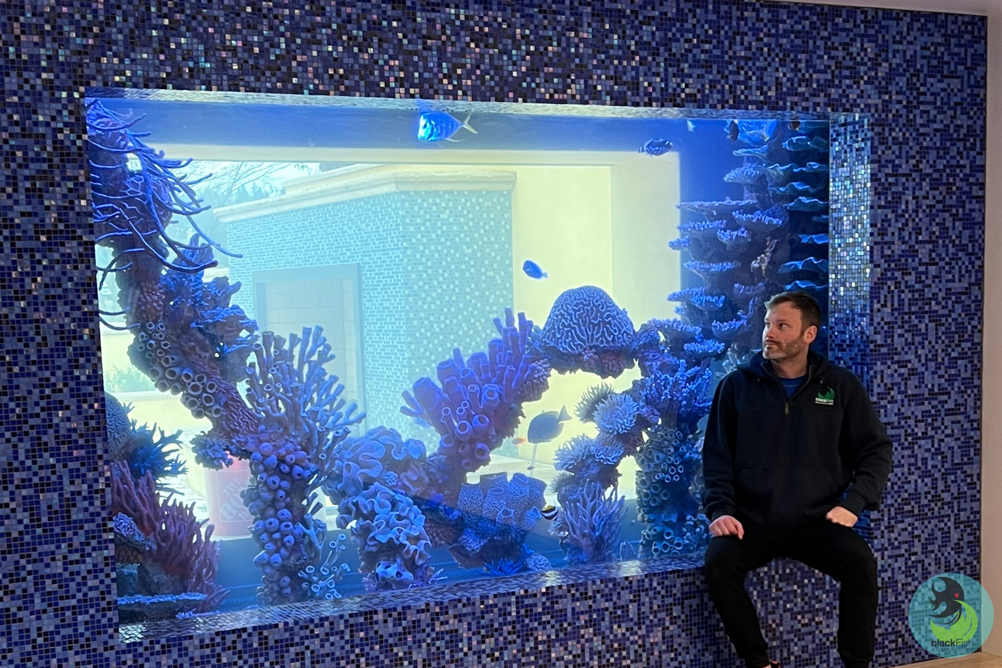 Man sitting beside large aquarium with blue coral and small fish inside a mosaic tiled frame.