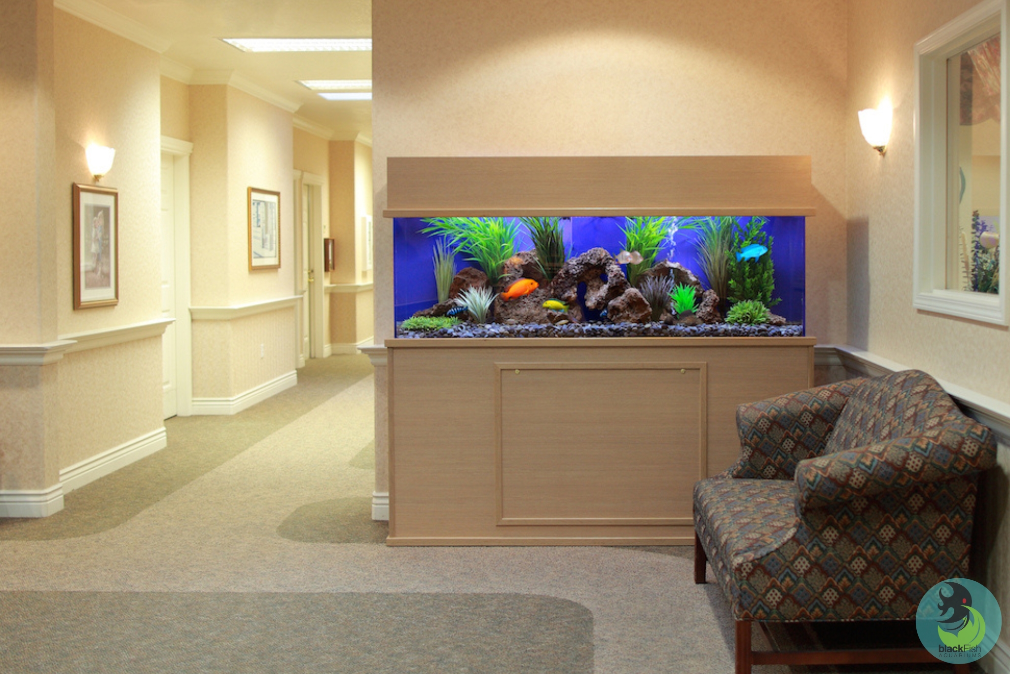 Indoor hallway with a large lit aquarium featuring colorful fish, plants, rocks, and a patterned sofa.