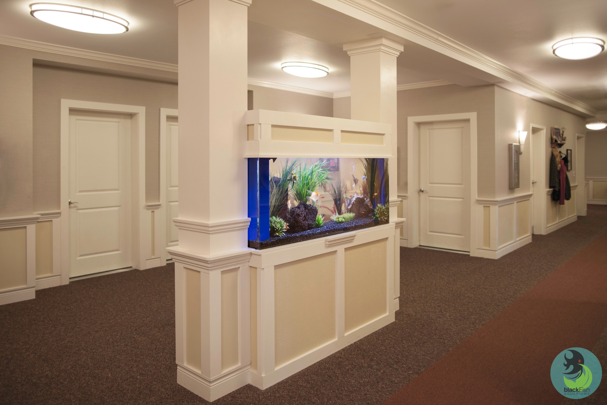 Built-in aquarium with plants and fish inside a hallway with beige walls and multiple white doors.