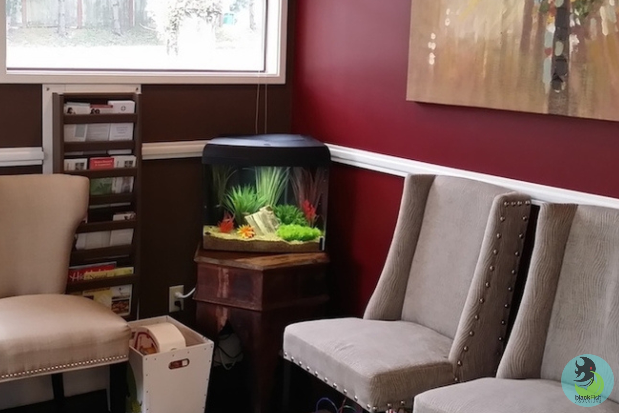 Waiting room with beige chairs, a wooden side table holding a fish tank with plants, and a brochure rack.