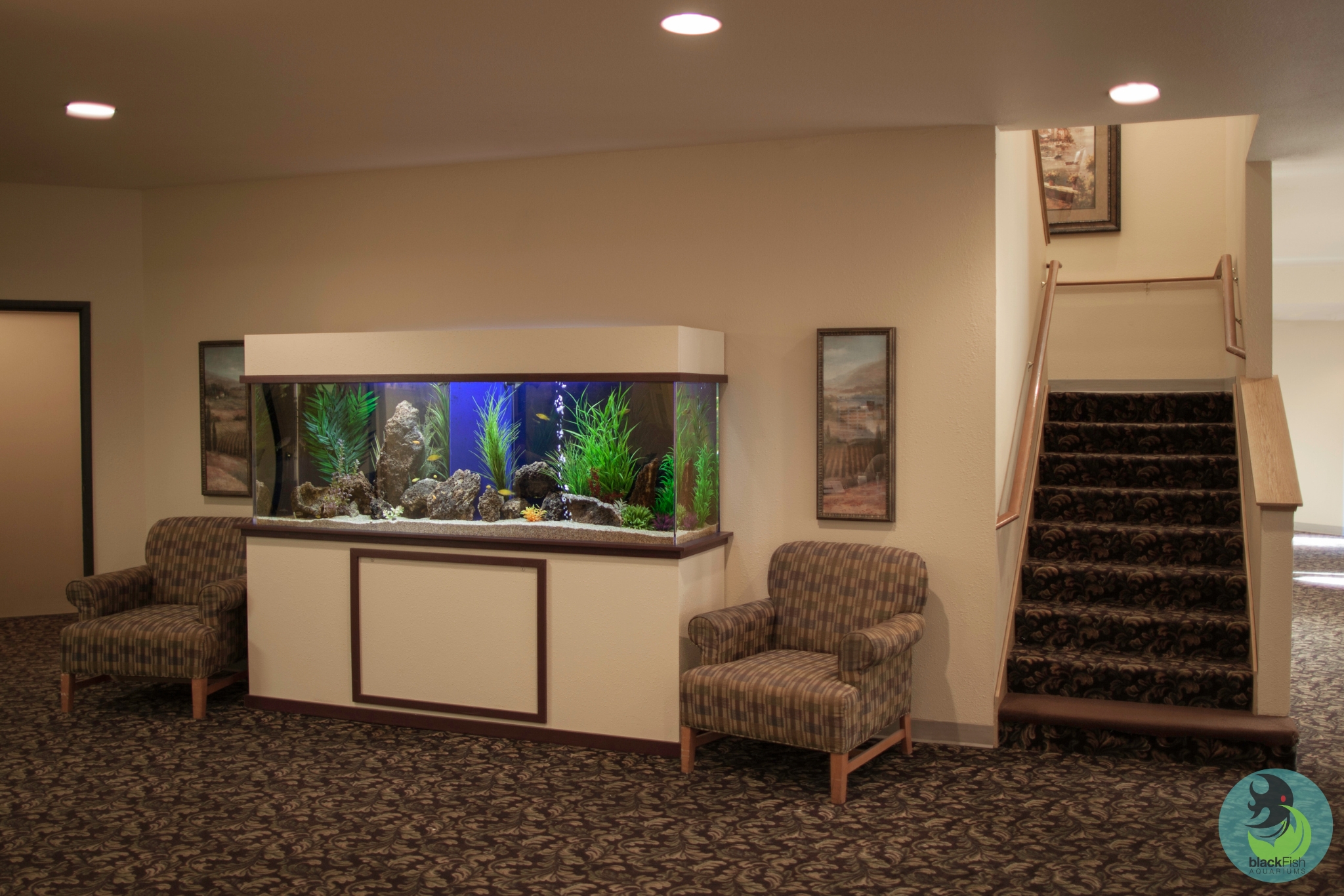 Indoor seating area with two armchairs, a large fish tank, and a carpeted staircase.