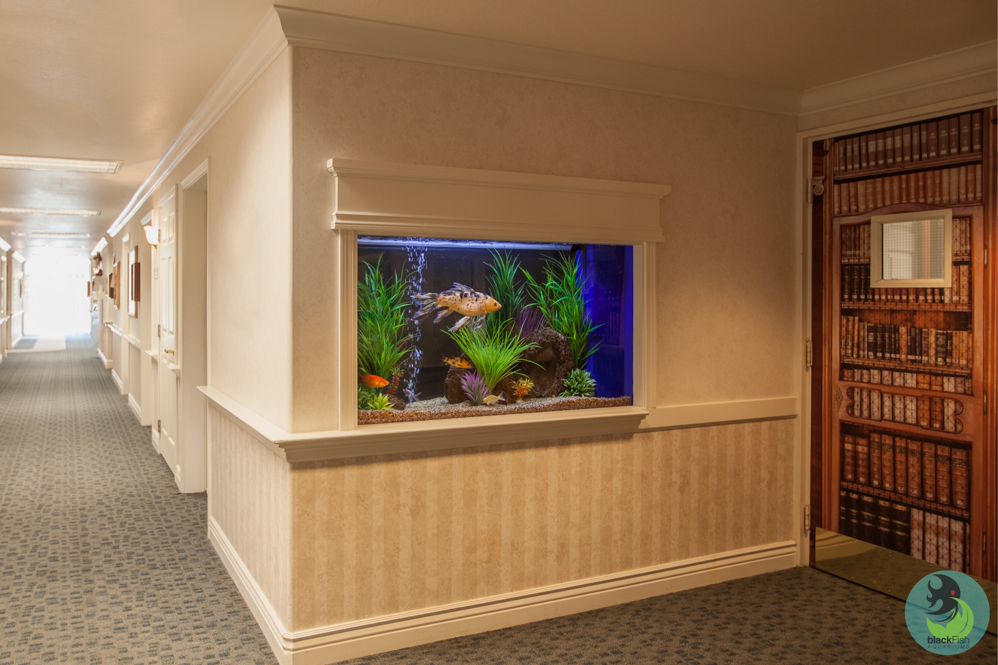 Built-in aquarium with fish and plants in a beige hallway with patterned carpet and decorated door.