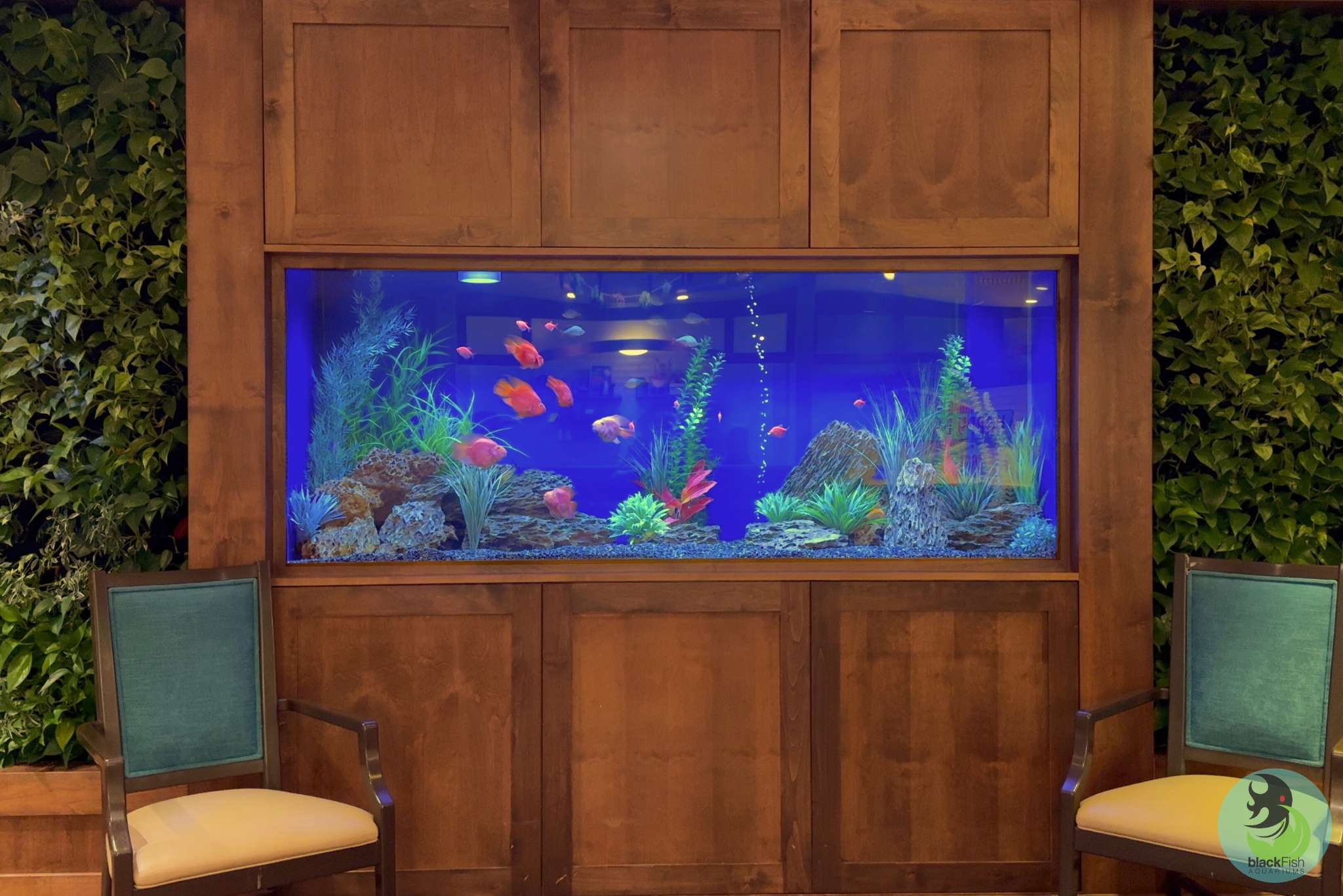 Built-in aquarium with colorful fish and plants, flanked by two chairs and green foliage walls.