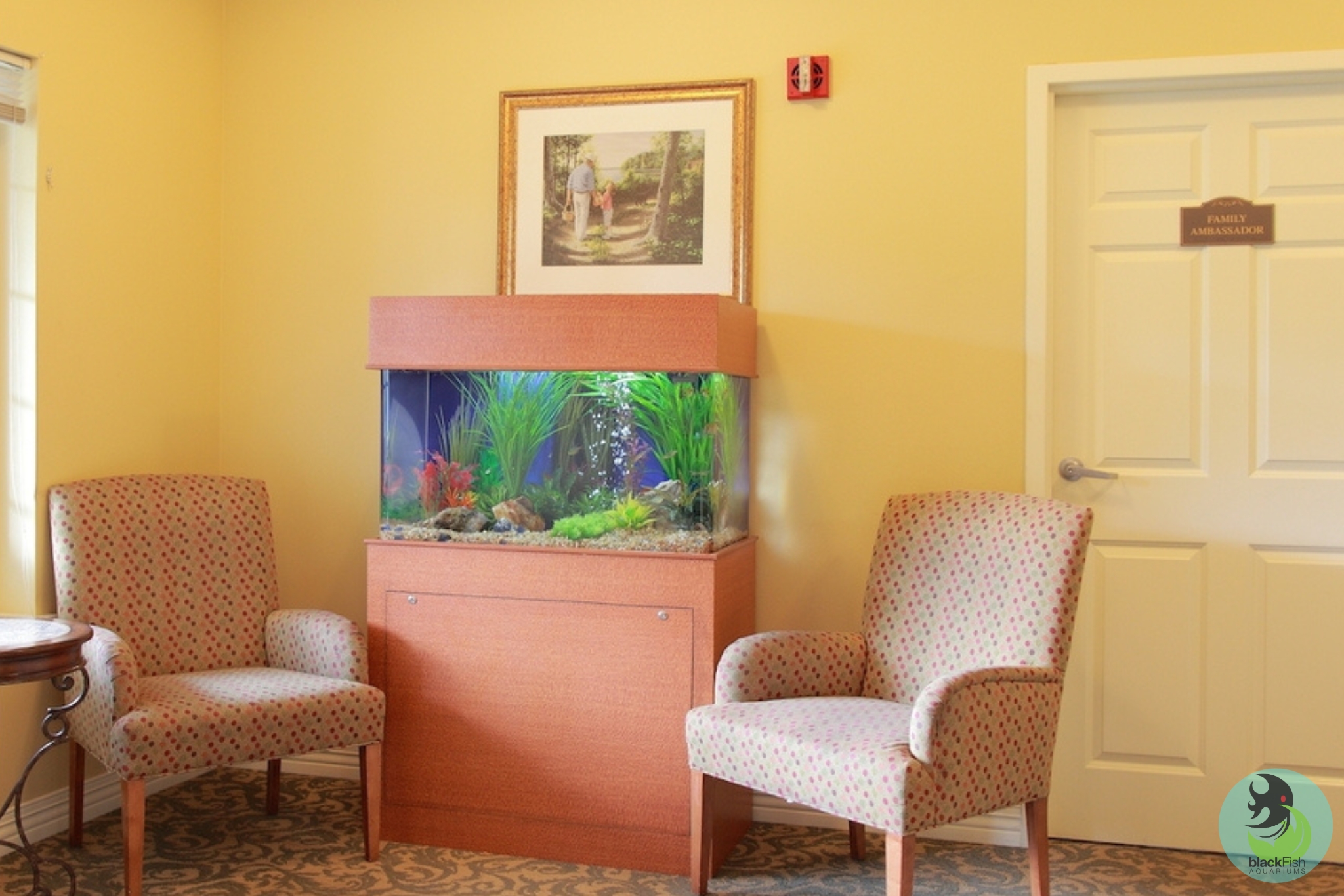Room with two patterned armchairs, a wooden fish tank with green plants, and a door labeled Family Ambassador.