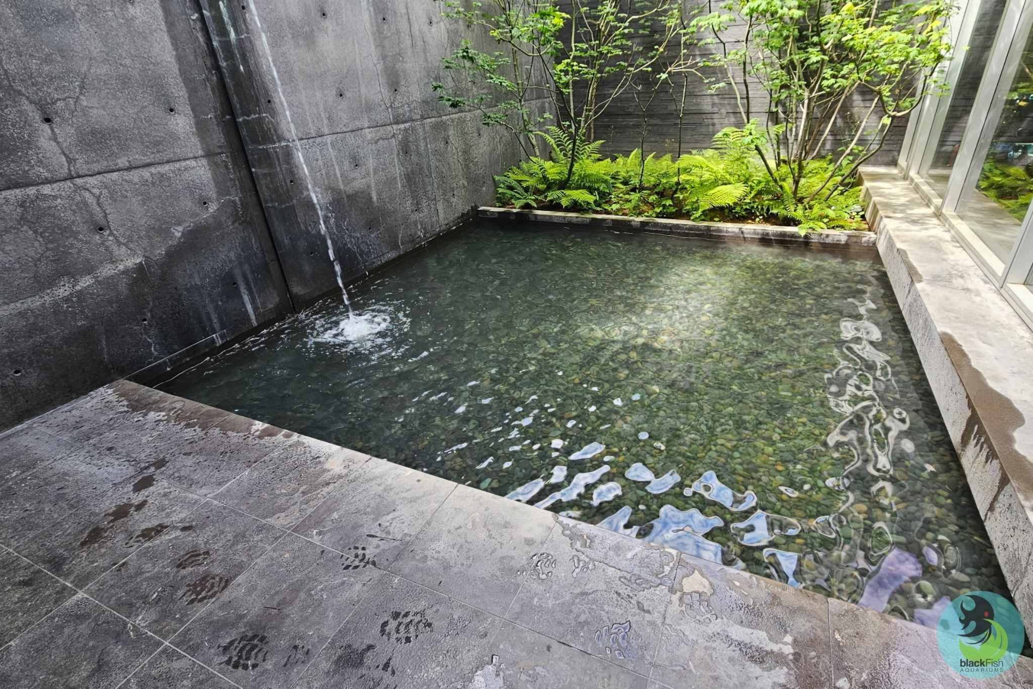 Small modern pond with clear water, stone floor, water stream, and green plants against concrete walls.