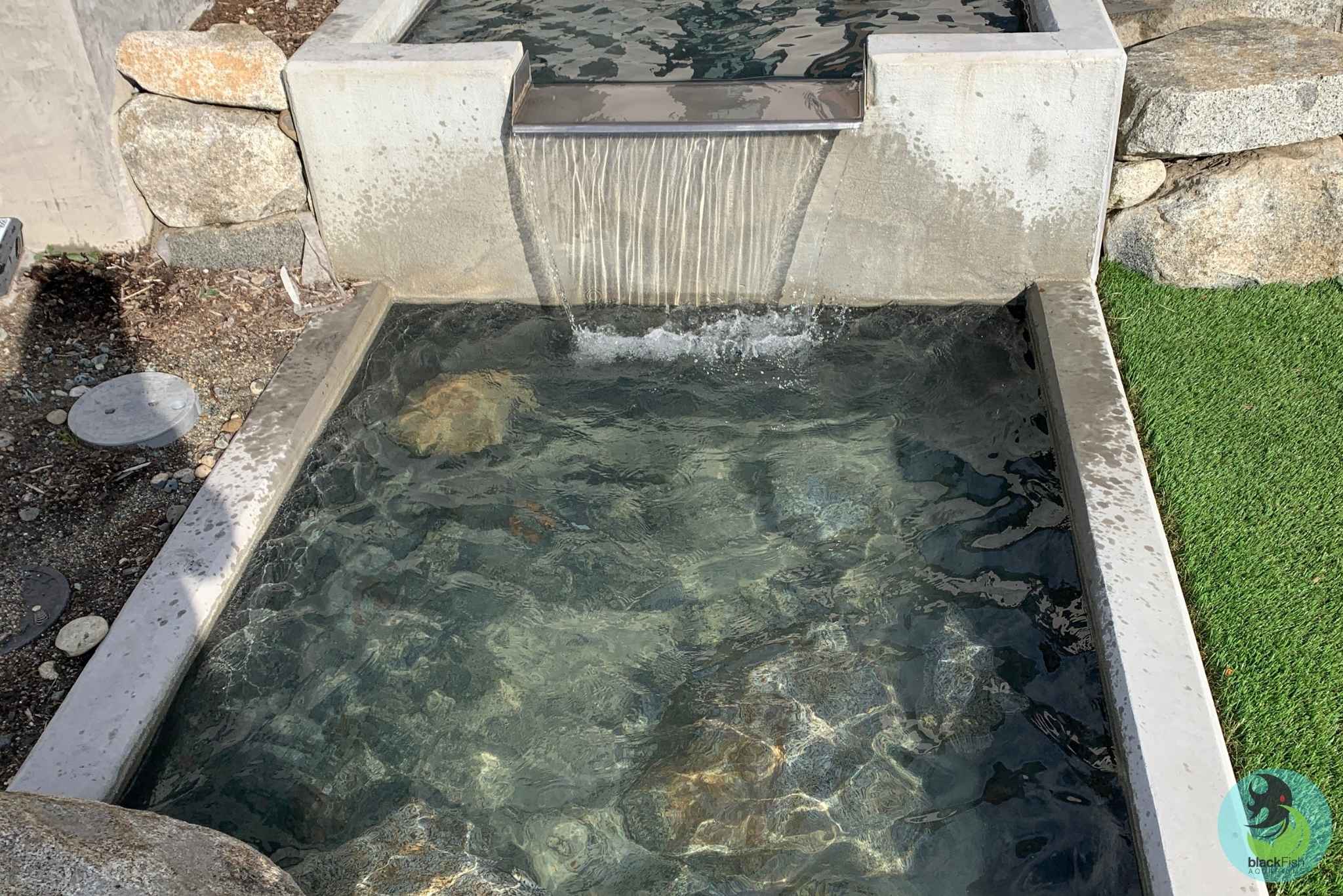 Small concrete pond with clear water flowing from a spillway over rocks into a pool.