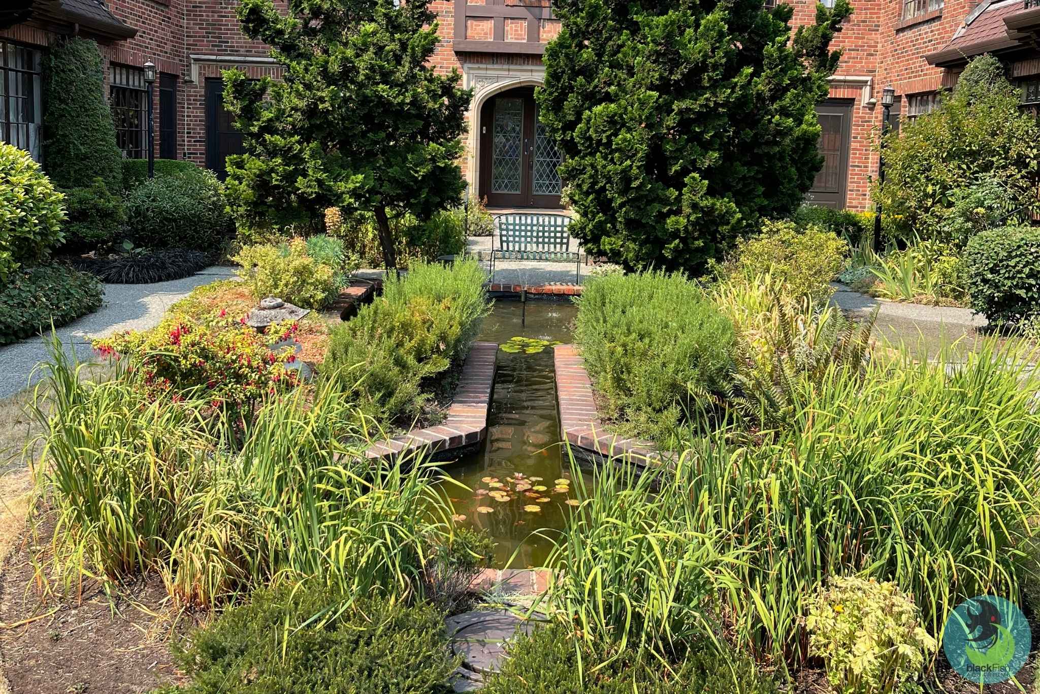 Narrow rectangular pond with lily pads surrounded by green shrubs and plants in a courtyard garden.