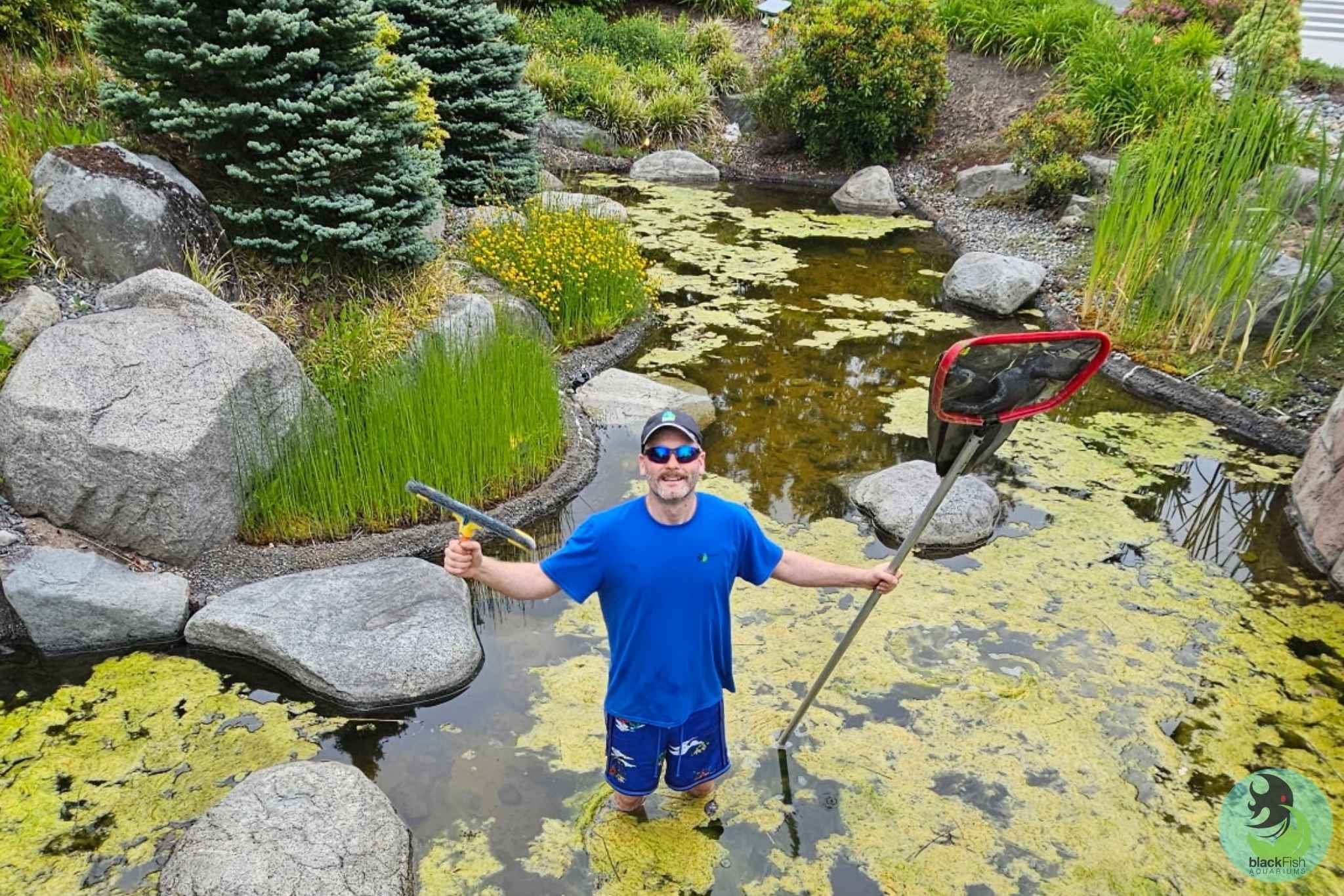 Man in blue shirt standing waist-deep in a pond holding a net and a squeegee, surrounded by rocks and plants.