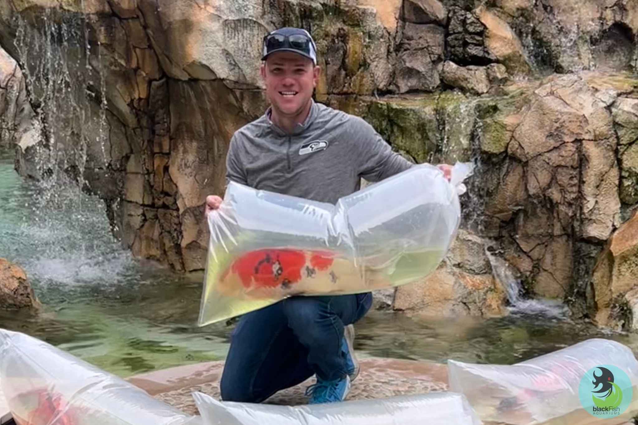 Man kneeling by a pond holding a large clear plastic bag with a colorful koi fish inside.