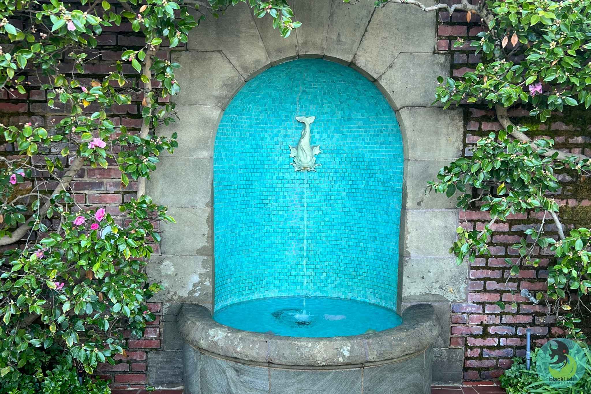 Decorative stone wall fountain with a blue tile background and fish spout, framed by green plants.