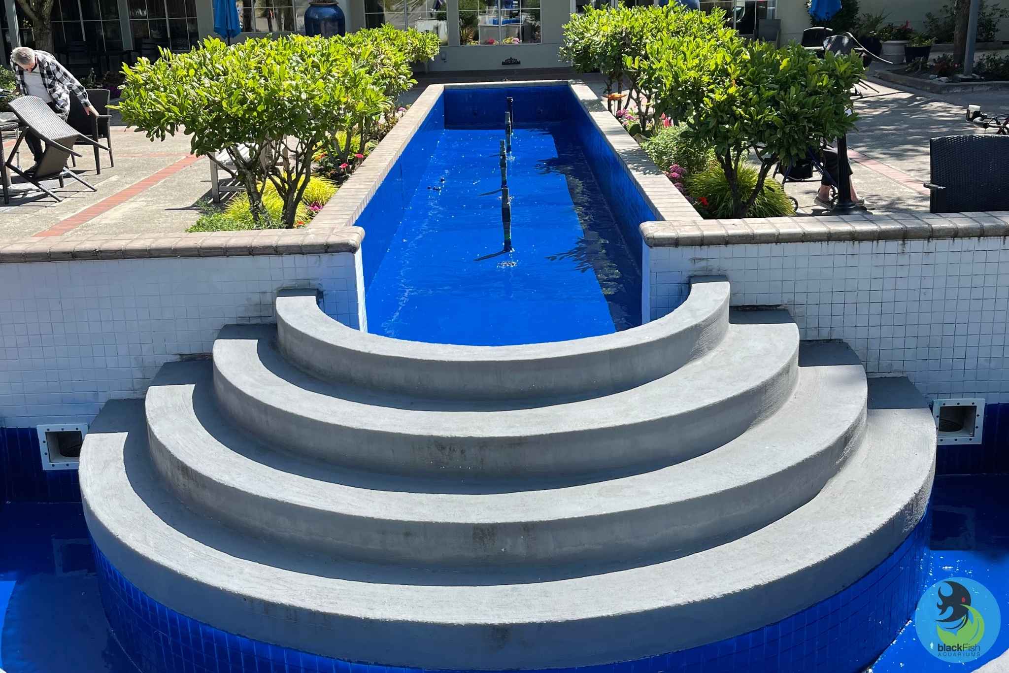 Concrete curved steps descending into a rectangular blue pool with plants and seating around it.