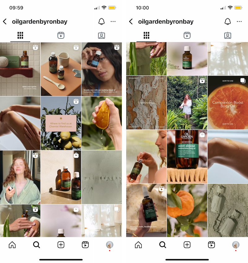 oil garden feed screenshot