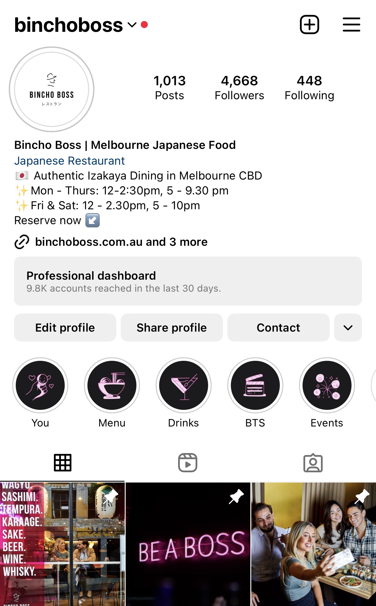 Screenshot of Instagram account: Bincho Boss, professional dashboard view.
