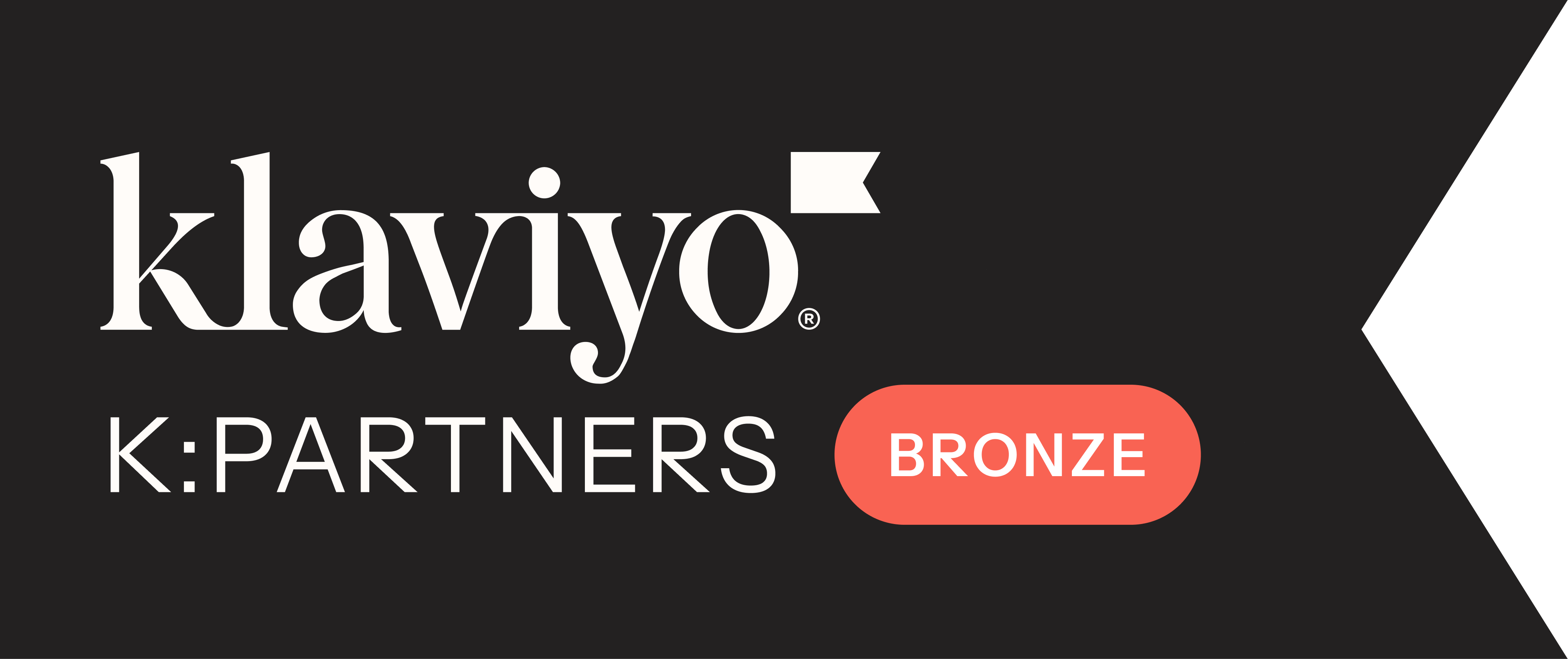 Klaviyo Partner Logo