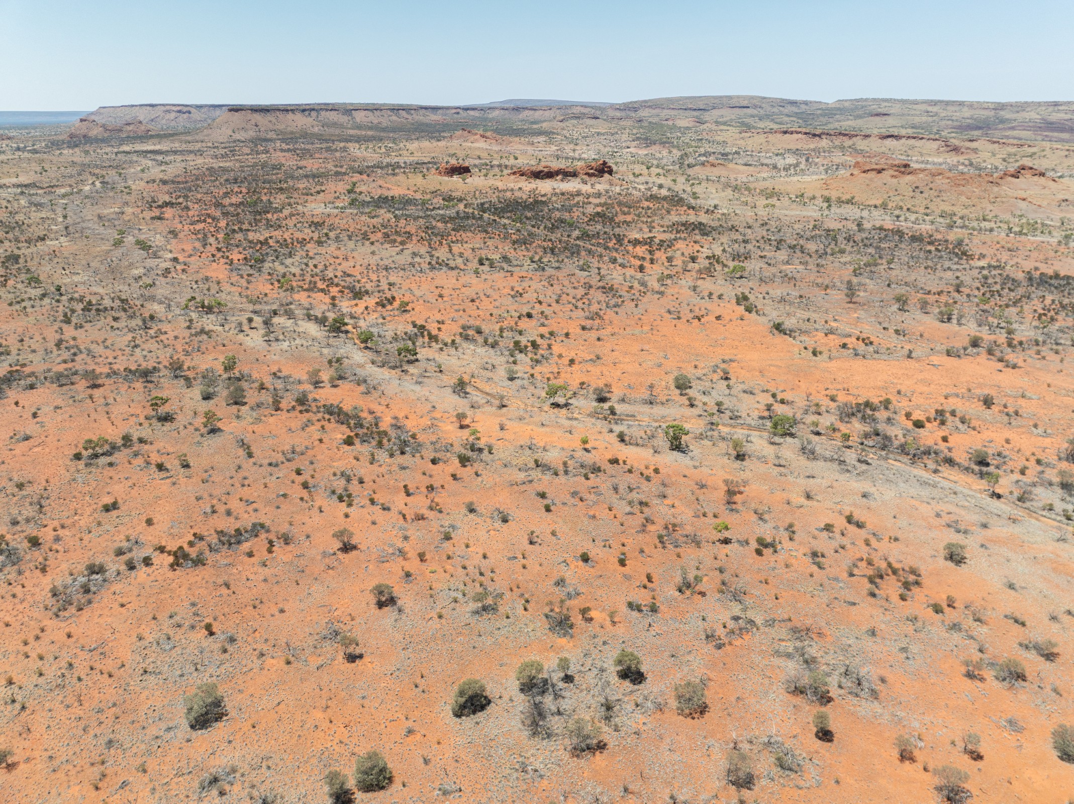 Aerial view of an expansive arid landscape with sparse vegetation and distant rocky hills under a clear blue sky.