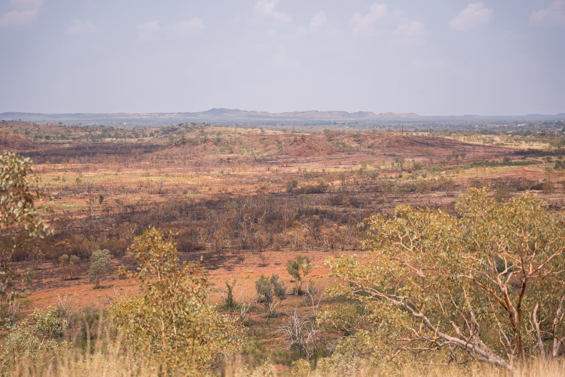 Wide view of dry, arid landscape with sparse trees and reddish soil under a cloudy sky.