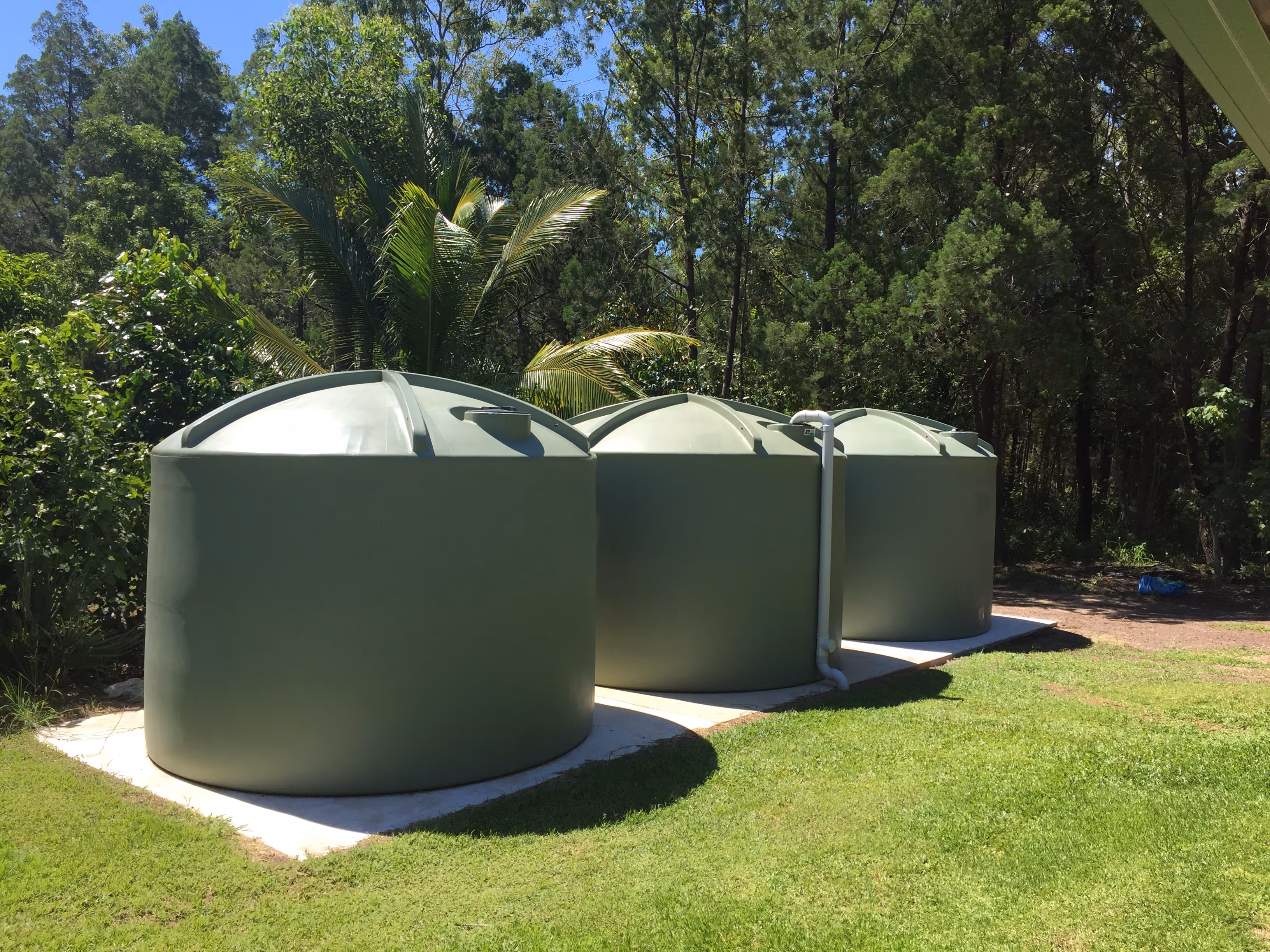 Three large green rainwater tanks on a concrete slab in a sunny yard with trees and grass.