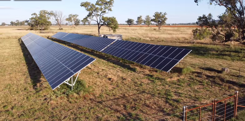 Three rows of solar panels installed on a grassy field with scattered trees in the background.