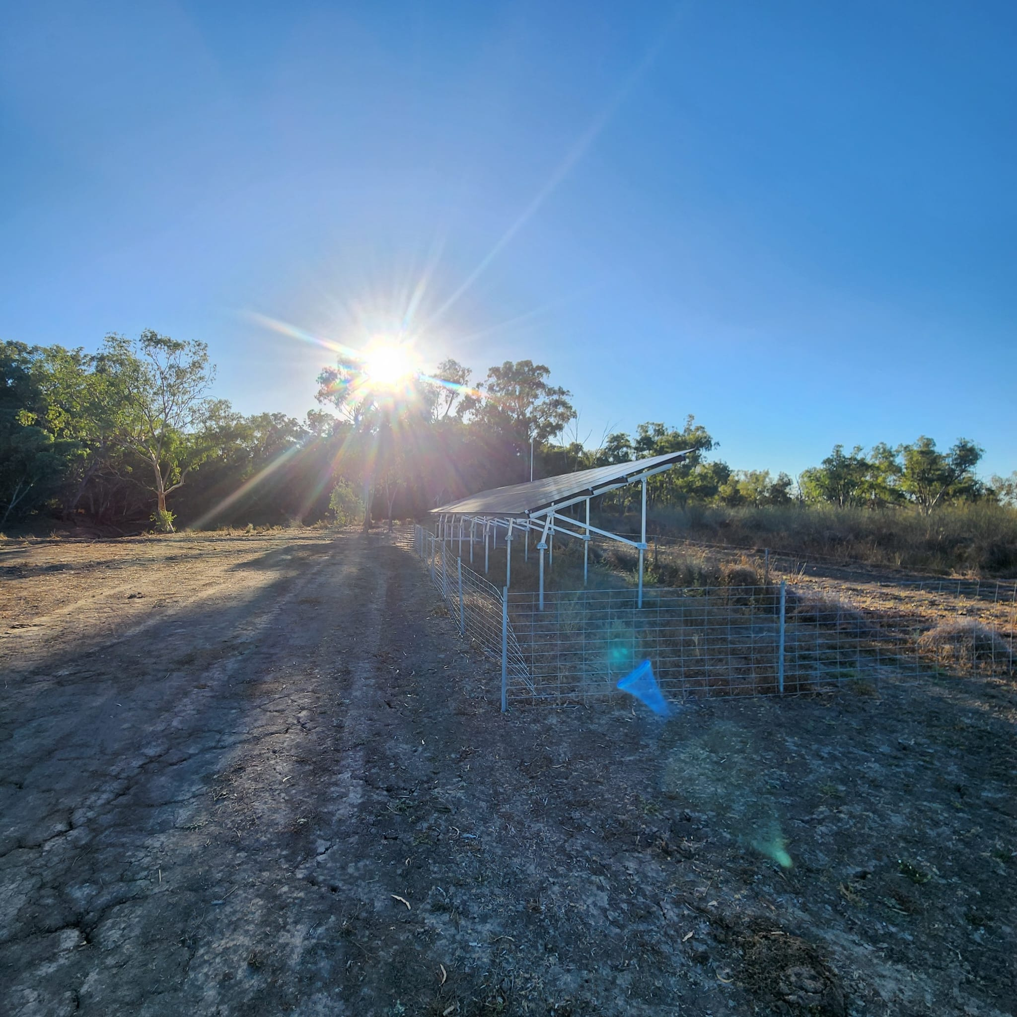 Solar panels installed on metal frames in a cleared, dry area with trees and the sun shining brightly in a clear blue sky.
