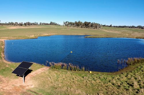Solar panel installed near a blue pond surrounded by grassy fields and trees under a clear blue sky.