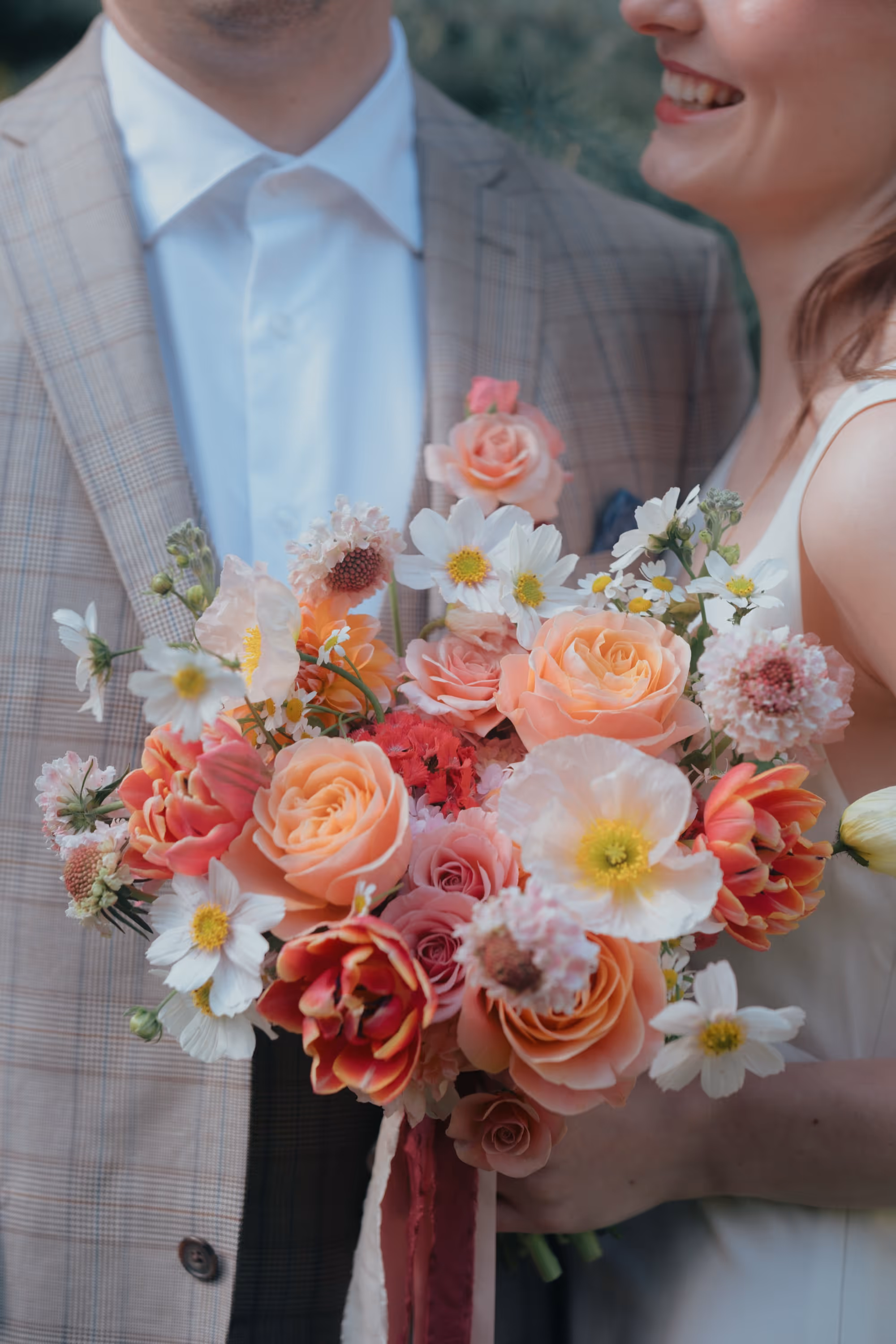 Catguts by Chloe Ireland