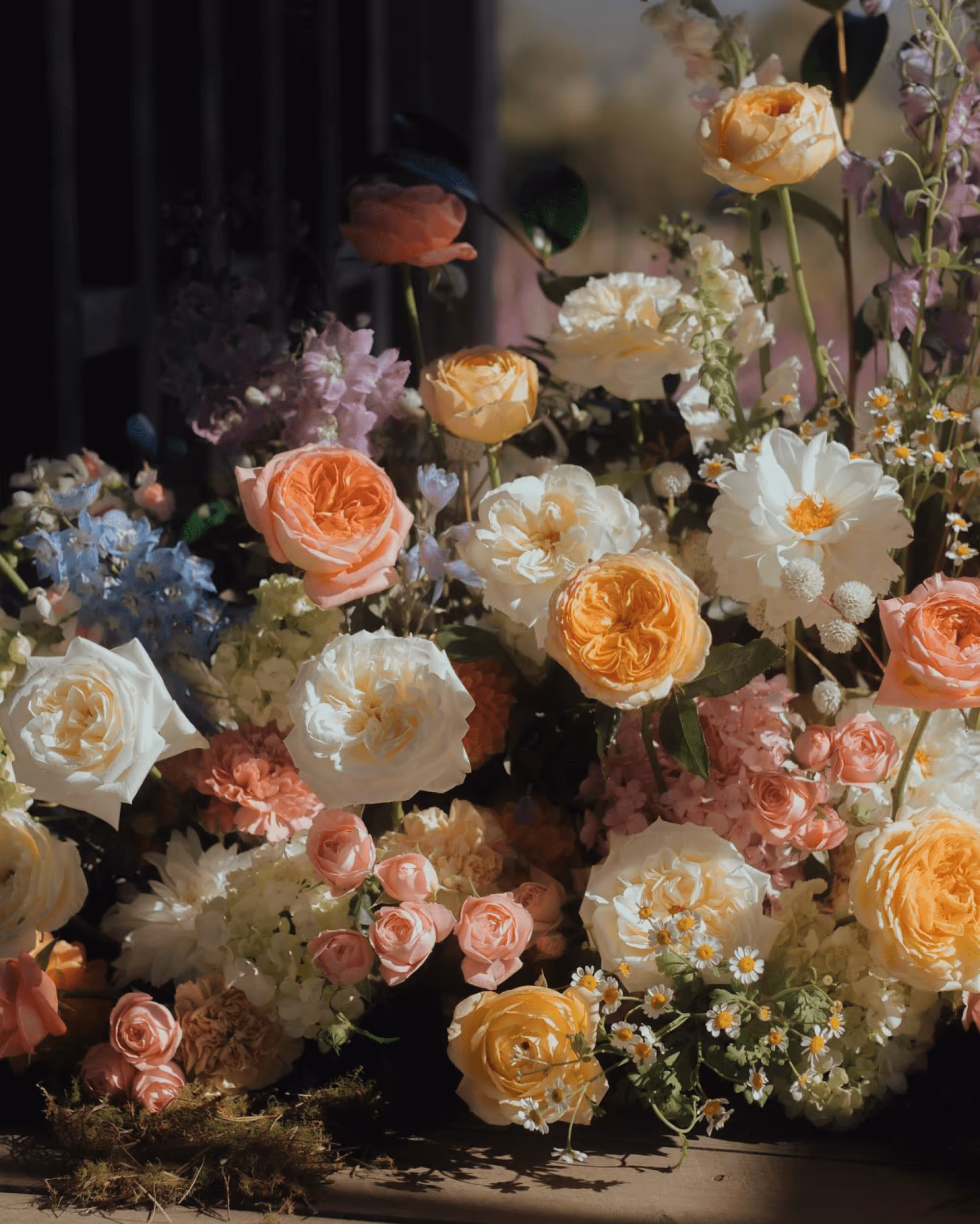 Catguts by Chloe Ireland