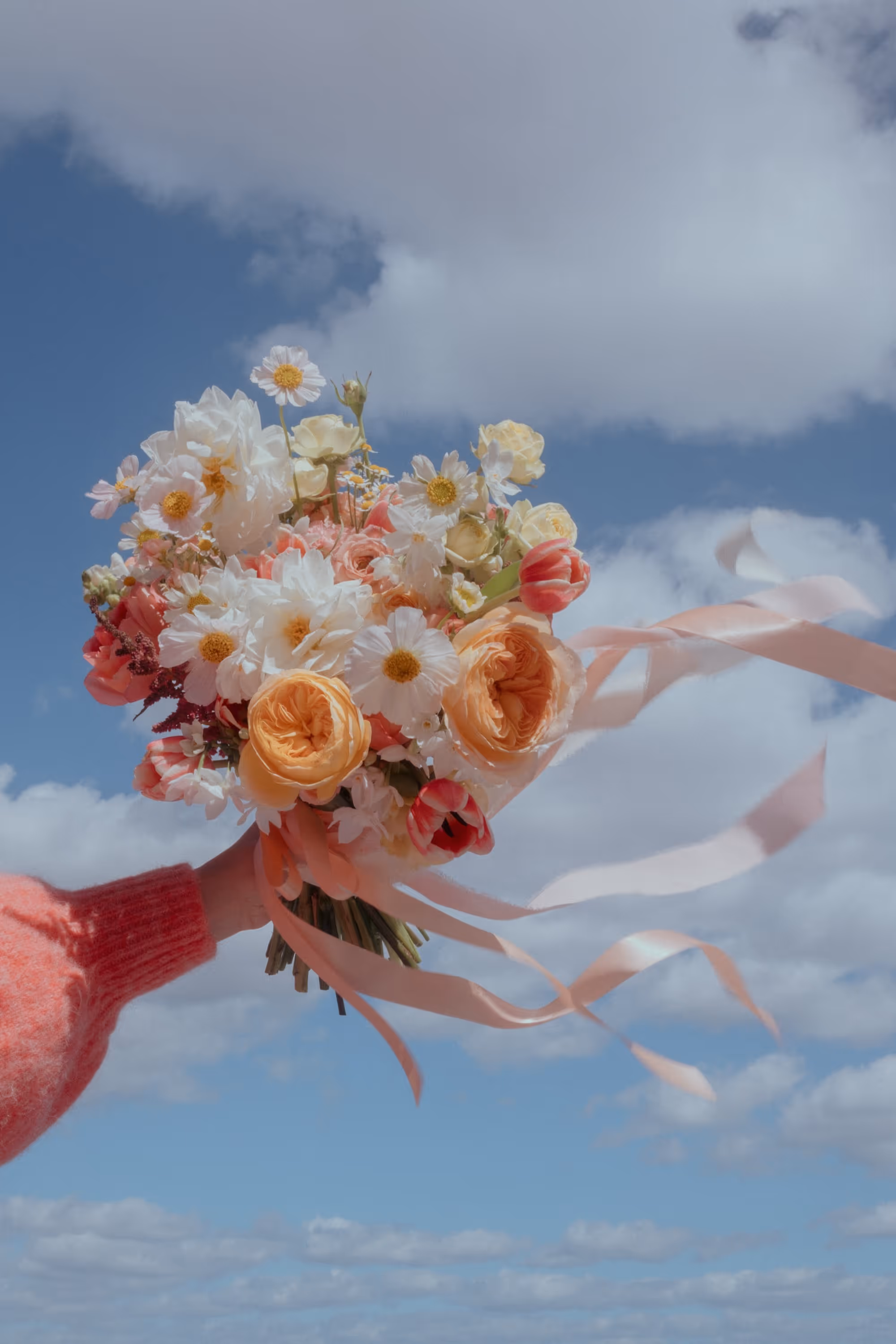 Catguts by Chloe Ireland