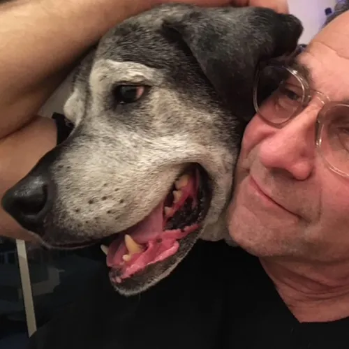 image of a peaceful acupuncture therapy room