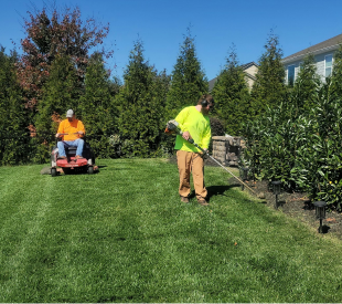 Professional lawn mowing and trimming service on a residential property
