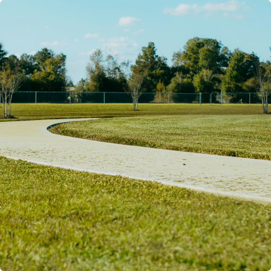 Recently maintained lawn with clean edges and freshly cut grass