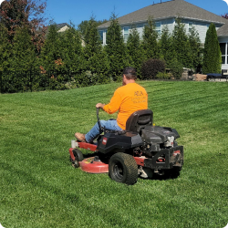 Lawn care professional mowing grass in a residential yard