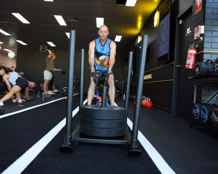 Man in gym pushing a heavy sled weighted with plates along a black track with white lines.