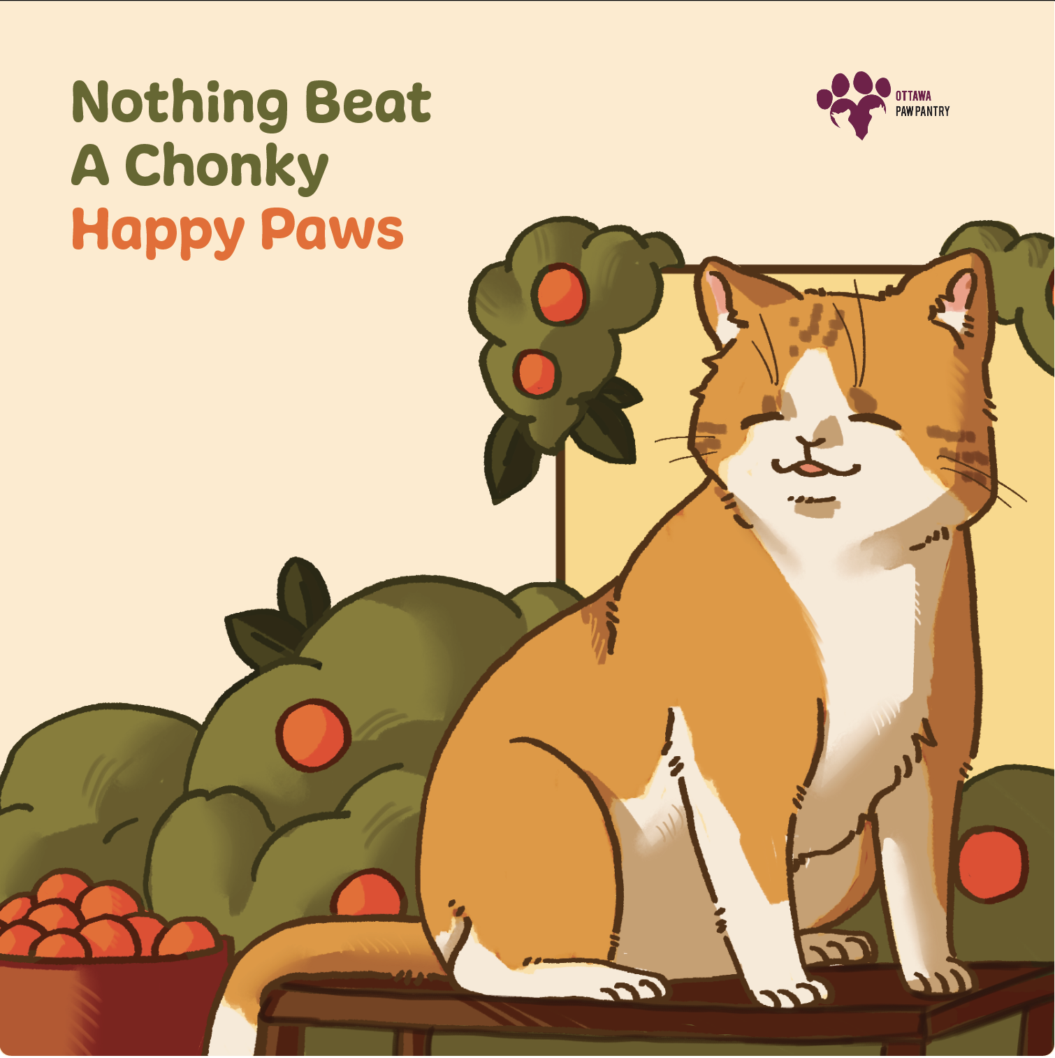 first look- first campaign