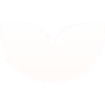 White leaf icon with two symmetrical leaves on a transparent background.