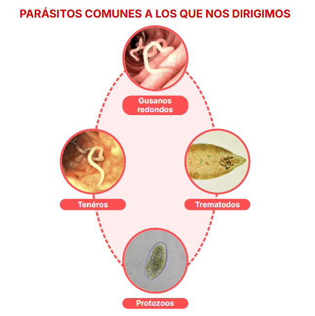 Screenshot 2025-12-08 203545.png