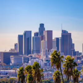 Downtown Los Angeles skyline with tall buildings and palm trees under a blue sky.