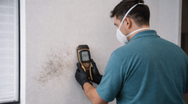 Technician wearing mask and gloves using a moisture meter to check damp wall with mold spots near a window.