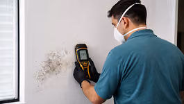 Technician wearing mask and gloves using a moisture meter to check damp wall with mold spots near a window.