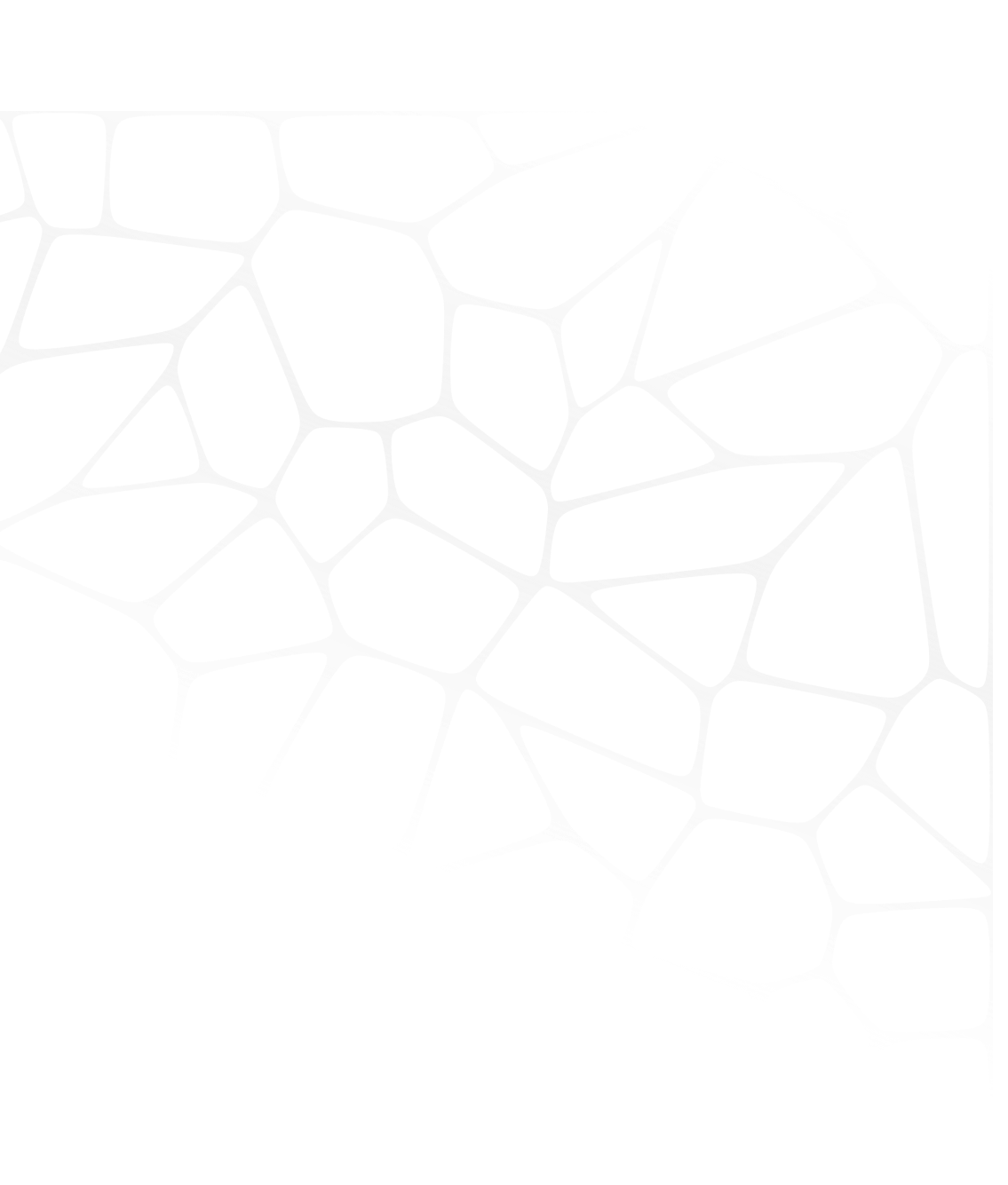 Section Shape in left side