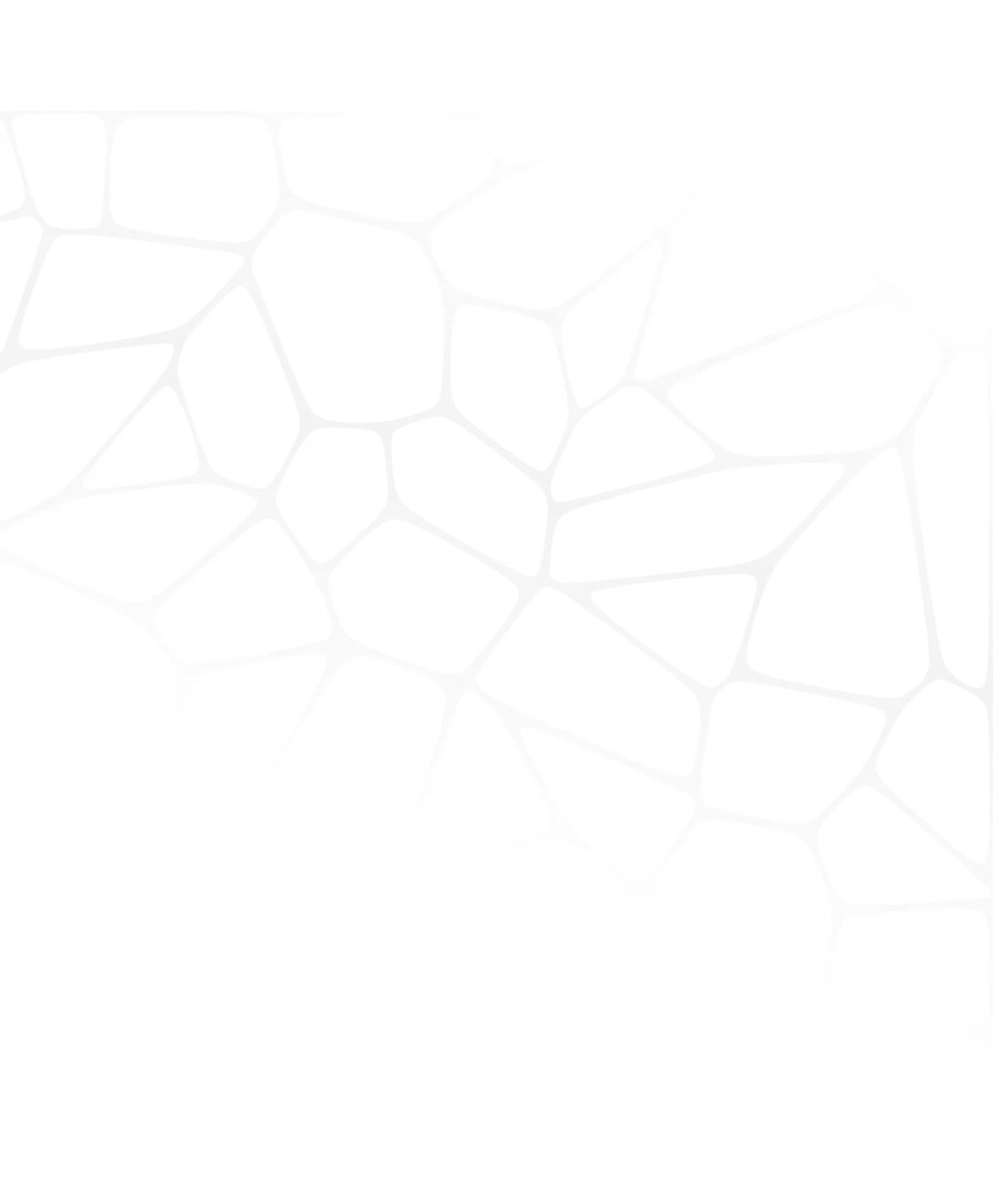 Section Shape in left side